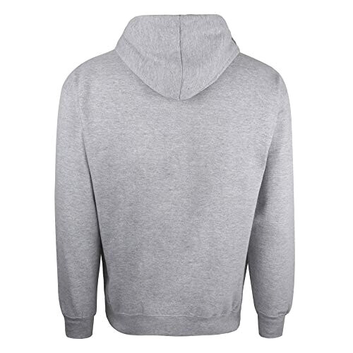 Sweat à capuche Jurassic Park gris (sports) homme variant 1 
