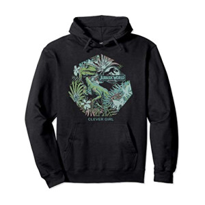 Sweat à capuche Jurassic Park noir homme/femme